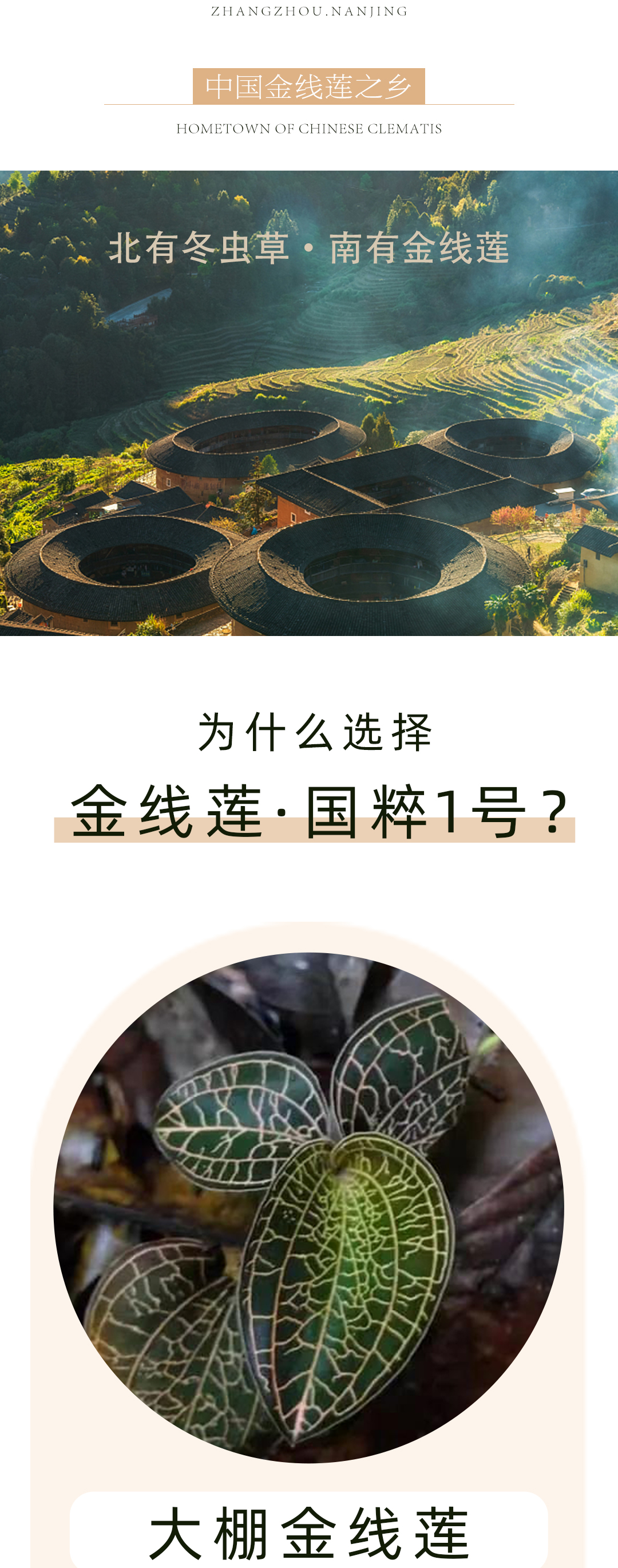国粹1号-主图详情页02.jpg