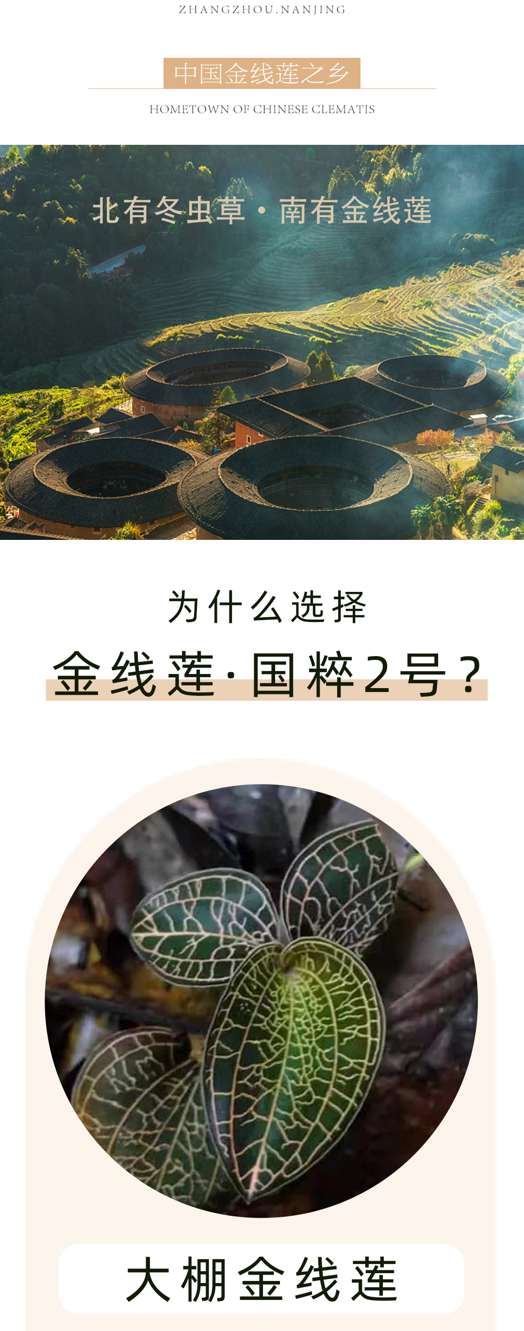 国粹2号-主图详情页__02.jpg