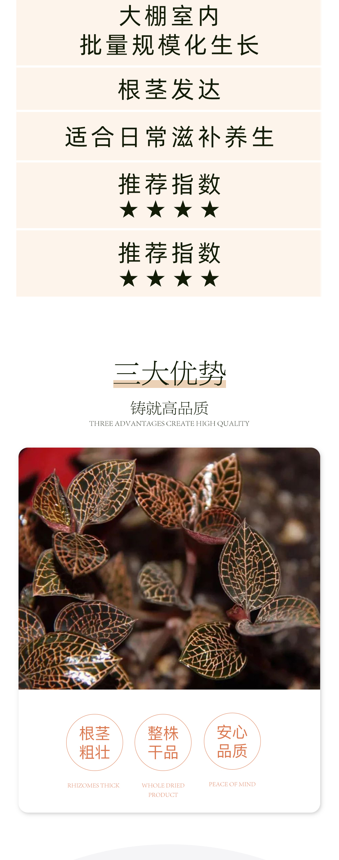 国粹2号-主图详情页__03.jpg